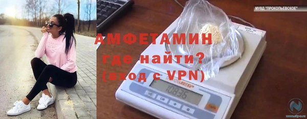 дмт Бородино