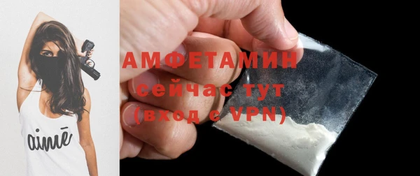дмт Бородино