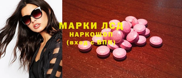 дмт Бородино