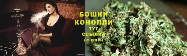 дмт Верея