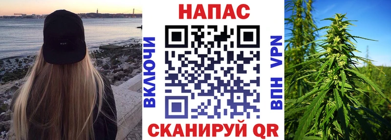 купить закладку  Нерюнгри  Конопля тримм 